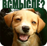 Магнит металлический Всмысле?