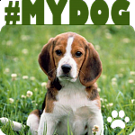 Магнит металлический My Dog