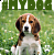 Магнит металлический My Dog