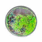 Заготовка водяного магнита круг с Зеленым конфетти